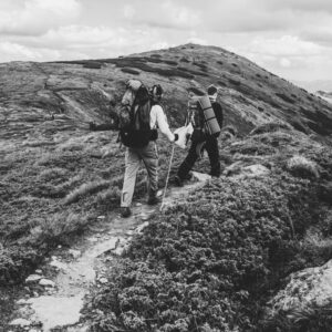 Plan trimestral vegetariano.